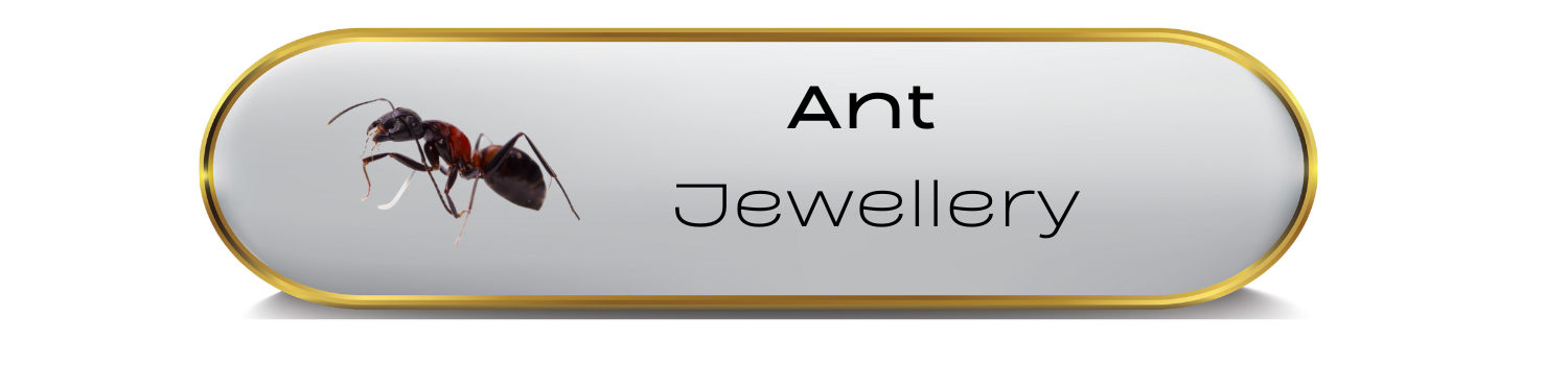 Ant Jewellery
