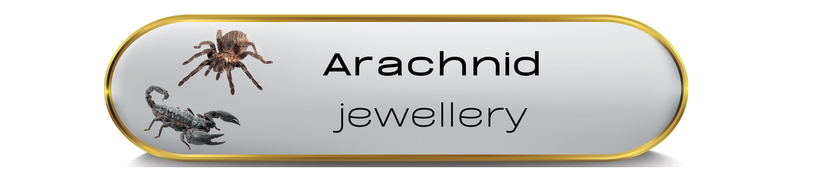 Arachnid