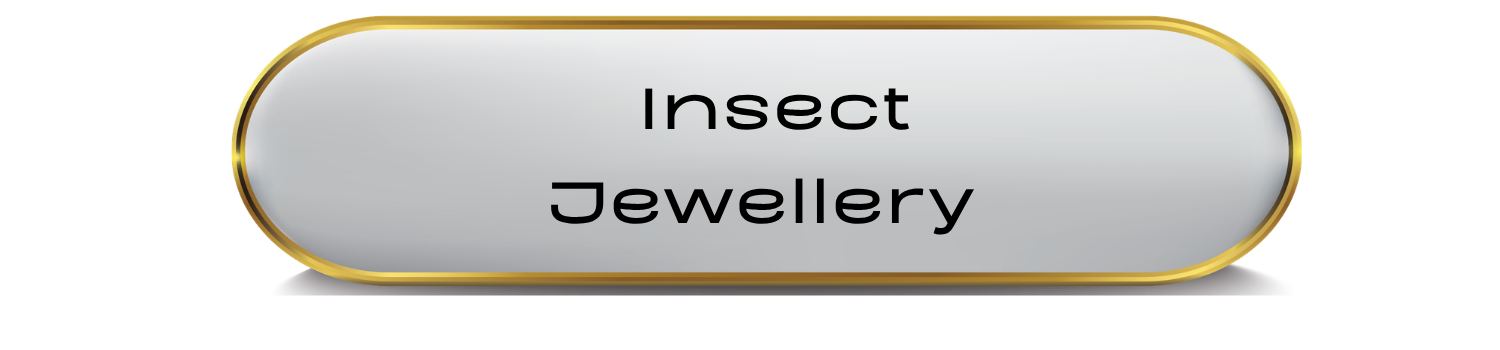 Insects