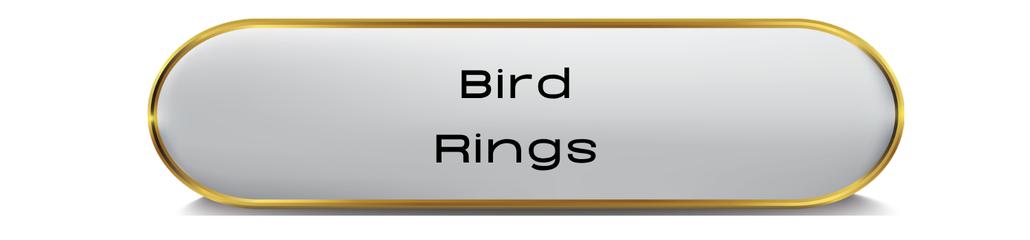 Bird Rings