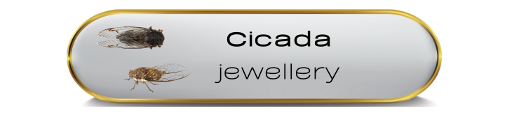 Cicada