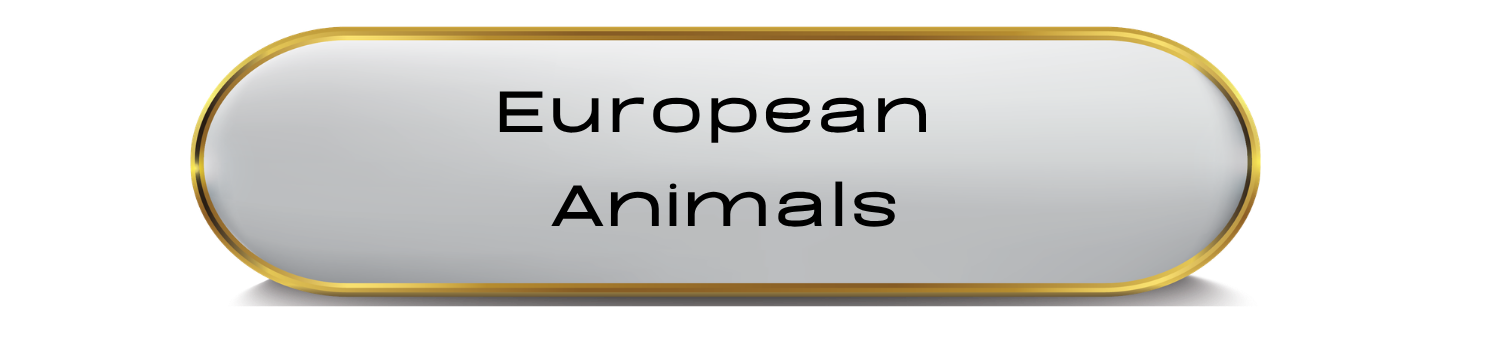European Continent