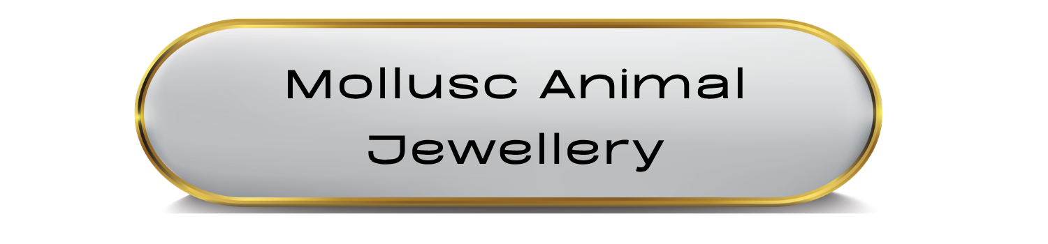 Mollusc Jewellery