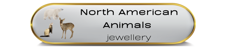 North America Continent