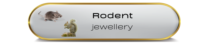 Rodent