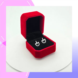 Horse Snaffle bit Sterling Silver push-back Earrings presented in a gift box
