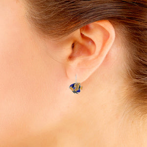 Angelfish Majesty Sterling Silver plated hook Earrings with Enamel modelled