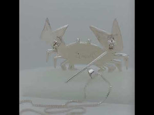 Crab Radiance Sterling Silver plated Pendant - Pin combo with Enamels